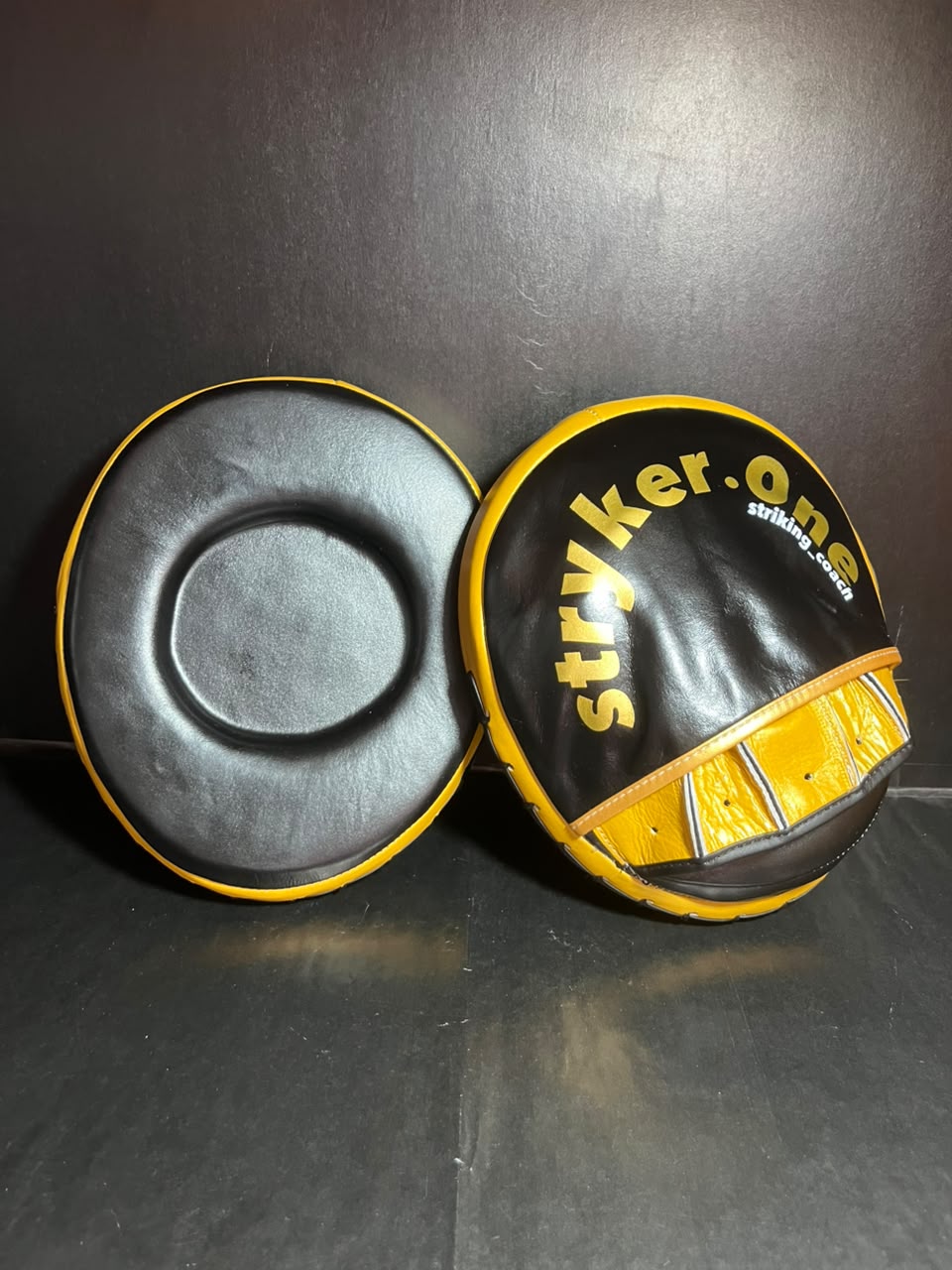 Leather Boxing Pads